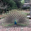 화도노인복지관 이미지