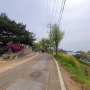 인천용현남초등학교자월분교장 | (자월도여행)자월도 큰말해수욕장 / 독바위 4월에 만난 자월도바다풍경^^~