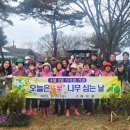 봄꽃에내린단비 이미지