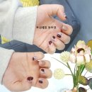 네일또보니