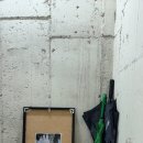 국채보상로152길 | 대구 동인동 참한 브런치 식당 '참집' | 리버시즌스로 검색하고 오시면 돼요 ꕀ 𖹭