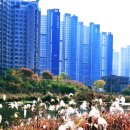 금강로746번길 | 🚴‍♂️ 왕숙천 구리–진접 광릉숲 자전거 라이딩의 추억 “벼락소 전설 이 흐르는 왕숙천을 따라, 가을...