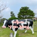 창의목장 | 『김포 연보람 목장』 주말에 아이랑 젖소 우유짜기 체험 후기 🐄