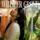 펫웨이브 광교지점 | 광교중앙역미용실 레이어드펌 C컬펌 여자머리 잘하는곳