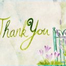 보나오라 이미지