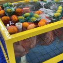 조광상회 이미지