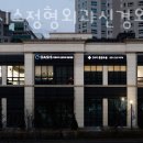 오아시스 정형외과 신경외과 동물병원 네이버블로그