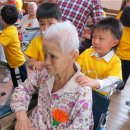 영동초병설유치원 이미지