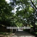 돌마초등길 네이버블로그