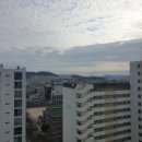 금당 1지구 이미지