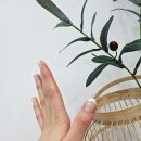 채채네일 이미지