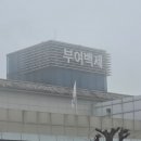 김순옥도너츠엔푸드 | 010. 연휴에는 담양 여행, 그리고 '왕과 사는 남자'