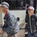 선거관리위원회 (건너) 이미지