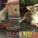 상연농장 이미지