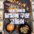 달빛에구운고등어세종대평점 이미지