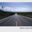 백양목장 이미지