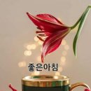 그대그리고나 이미지
