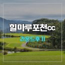 힐마루 티스토리
