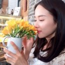 멀티점