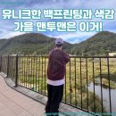 언커먼 스웨트셔츠 : 유니크한 색감과 프린팅의 맨투맨