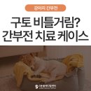 부전2치안센터 | 강아지 간부전 구토, 비틀거림 증상부터 치료케이스까지 - 울산 동물병원 에스동물메디컬센터
