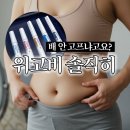 하이브약국 | 다이어트주사 맞으면 진짜 배 안 고프냐고요? 위고비 솔직 후기.zip