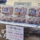 문경새재도립공원 단풍 문경 여행 오픈세트장