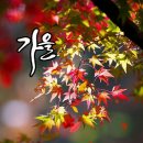 해피님 병환이라도 나셨는지요 이미지