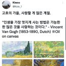 크로스핏 아띠 이미지