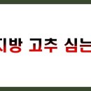 중부슈퍼 | 중부지방 고추 심는 시기 완벽 가이드 TOP 5 (적정시기, 모종준비, 관리방법)