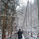 순백의 설국 민주지산[25.1.27.월요일] 이미지