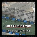 시흥MTV보니타가 | 시흥 거북섬 풋살장 후기 자주 이용하는 보니타가 풋살장 상세 후기 및 예약 정보 안내