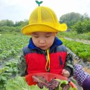 지훈농장 이미지