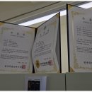 대구강아지분양 마마스미독 본점 이미지