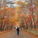 용진님 캠핑벙 인제에서는~~~ 이미지