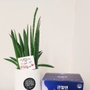 에스 클래스 동물병원 이미지