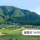 나리촌식품