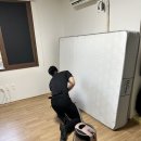 김해매트리스청소 내 공간의 가치를 높여준 바른청년 홈케어 후기
