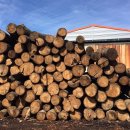 (주)영일우드 이미지