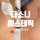 다소니 에스테틱