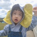 주암호 생태습지 | 보성 산책하기 좋은 생태공원-주암호 생태습지