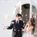 W8. 천안 웨딩촬영 디엘픽쳐스 (무하 스튜디오)/무이 헤어변형(요니헤어)