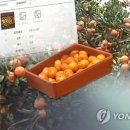 희망유통 이미지