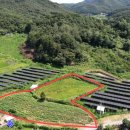 동산태양광발전소 이미지