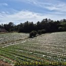 죽전마을회관 이미지