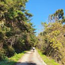 노귀재휴게소 | 영천 화북-칠매재-노귀재-면봉산기상대