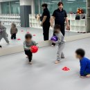 용인대 올림픽 태권도장 이미지