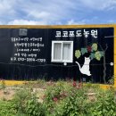 샤인유치원 이미지