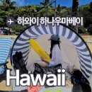 한주카써비스 | 하와이 하나우마베이 예약사이트 스노쿨링 스팟 후기