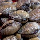 자원목장 이미지